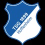 TSG Hoffenheim - Bor. Mönchengladbach 1:3, 1. Bundesliga, Saison 2014/15, 27.Spieltag - LIVE!-Match