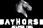 » Historic Assays