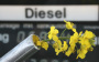  Deutscher Biodiesel boomt im Ausland - News 