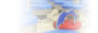 Paion - NewsDetails 