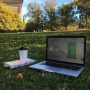 Aktien New York: Talfahrt gebremst - Neue Zolldrohung Trumps gegen China — TradingView News
