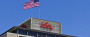 Angriff auf Novo und Eli Lilly: Ein Dream-Team für's Depot? Starke Zahlen und Fett-Weg-Spritzen! - 05.11.24 - News - ARIVA.DE
