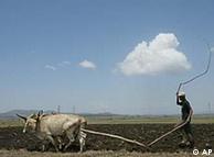 Äthiopischer Bauer bei der Arbeit, Quelle: AP