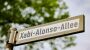 Bayer Leverkusen: Stadt will Straße nach Trainer Xabi Alonso benennen - DER SPIEGEL