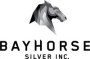 Bayhorse Silver Executes Formal Offtake Agreement with Ocean Partners Ltd. for Bayhorse Silver Concentrate