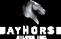 Bayhorse Silver Inc » BAYHORSE APPOINTS GEOLOGIST MARK ABRAMS AS DIRECTOR