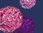 BayImmuNet: International Symposium on Interventional Immunology