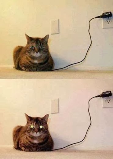 charged_cat.jpg