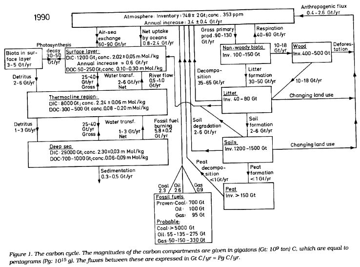 carbon_cycle_revisited_-_bert_bolin_nasa_1990.jpg