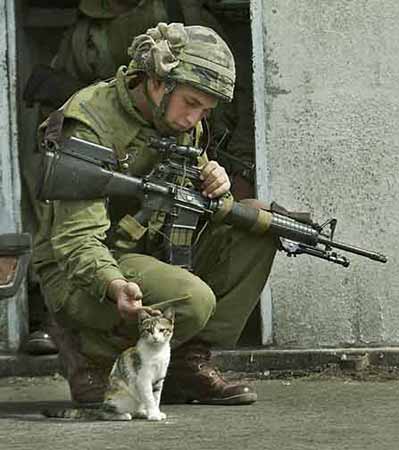 cat_and_soldier.jpg