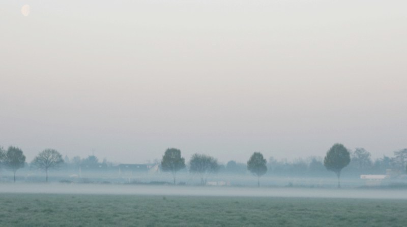 nebel3.jpg
