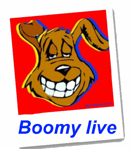 boomy_live.png
