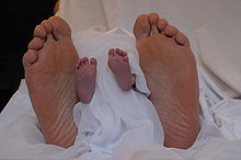 220px-adult_and_infant_feet_compqared.jpg