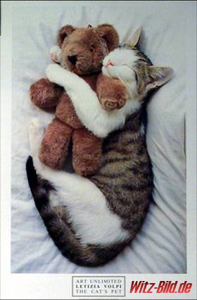 kitty_teddy.jpg