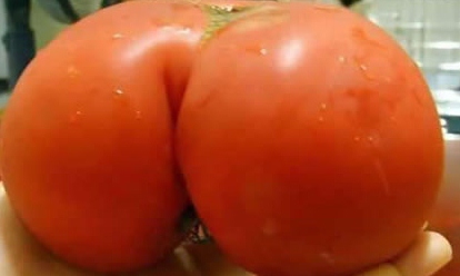 ass_tomato.jpg