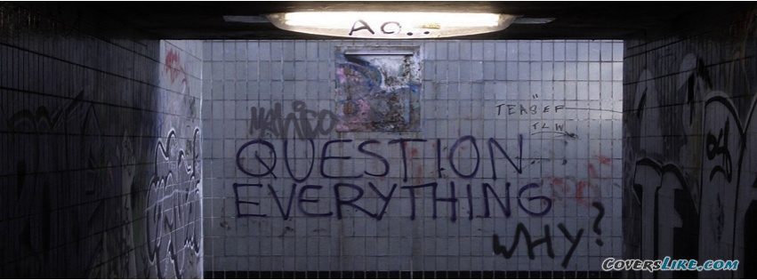 question_everything_why_funny_graffiti-....jpg