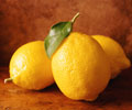 Zitronen.jpg