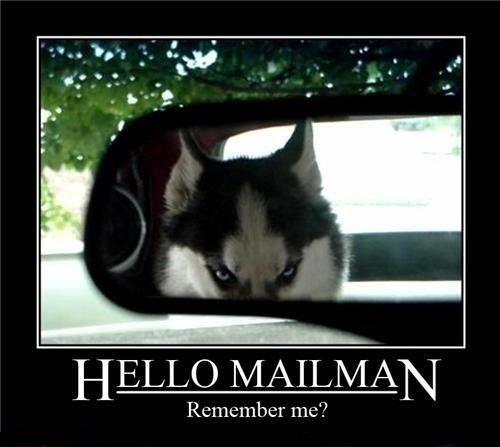 funny-dog-hello-mailman.jpg