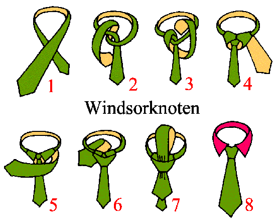 kravatten_knoten_windsor_gross.gif