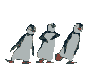 pinguine-0061.gif