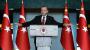 Bundesregierung besorgt: Ankara stimmt für Aufhebung der Immunität - n-tv.de