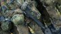 Bundeswehr: Soldat Franco A. hortete 1000 Schuss Munition - SPIEGEL ONLINE