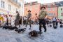 Dackelparade in Regensburg: 1175 Tiere stellen Rekord auf - DER SPIEGEL