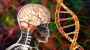 Demenz: Seltene Genmutation bei Patient könnte andere vor Alzheimer schützen - FOCUS online