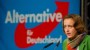 Die AfD und die Grenze: Schuss vor den Humbug - Inland - FAZ