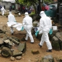 Ebola und die Folgen für 2015 :: Homepage - Nachrichten - Panorama :: Mittelbayerische Zeitung :: <a href=