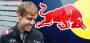 Formel-1-Saison 2012: Red Bull startet ohne Auto-Test - SPIEGEL ONLINE - Nachrichten - Sport