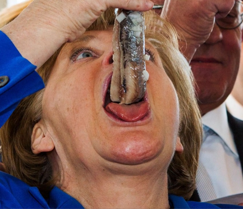 merkel_hering.jpg