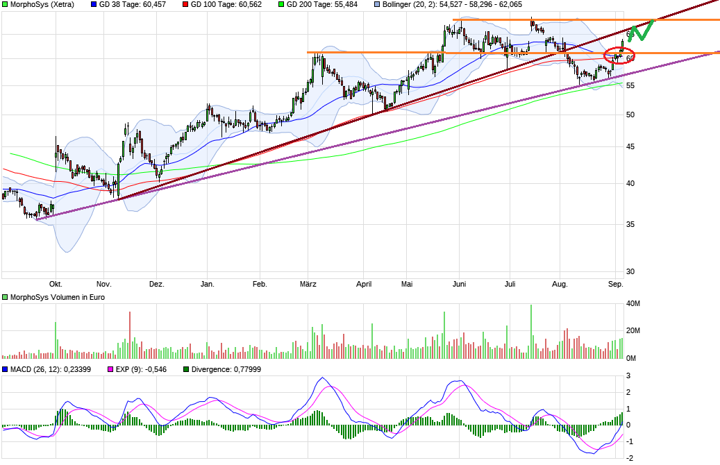 chart_year_morphosys.png