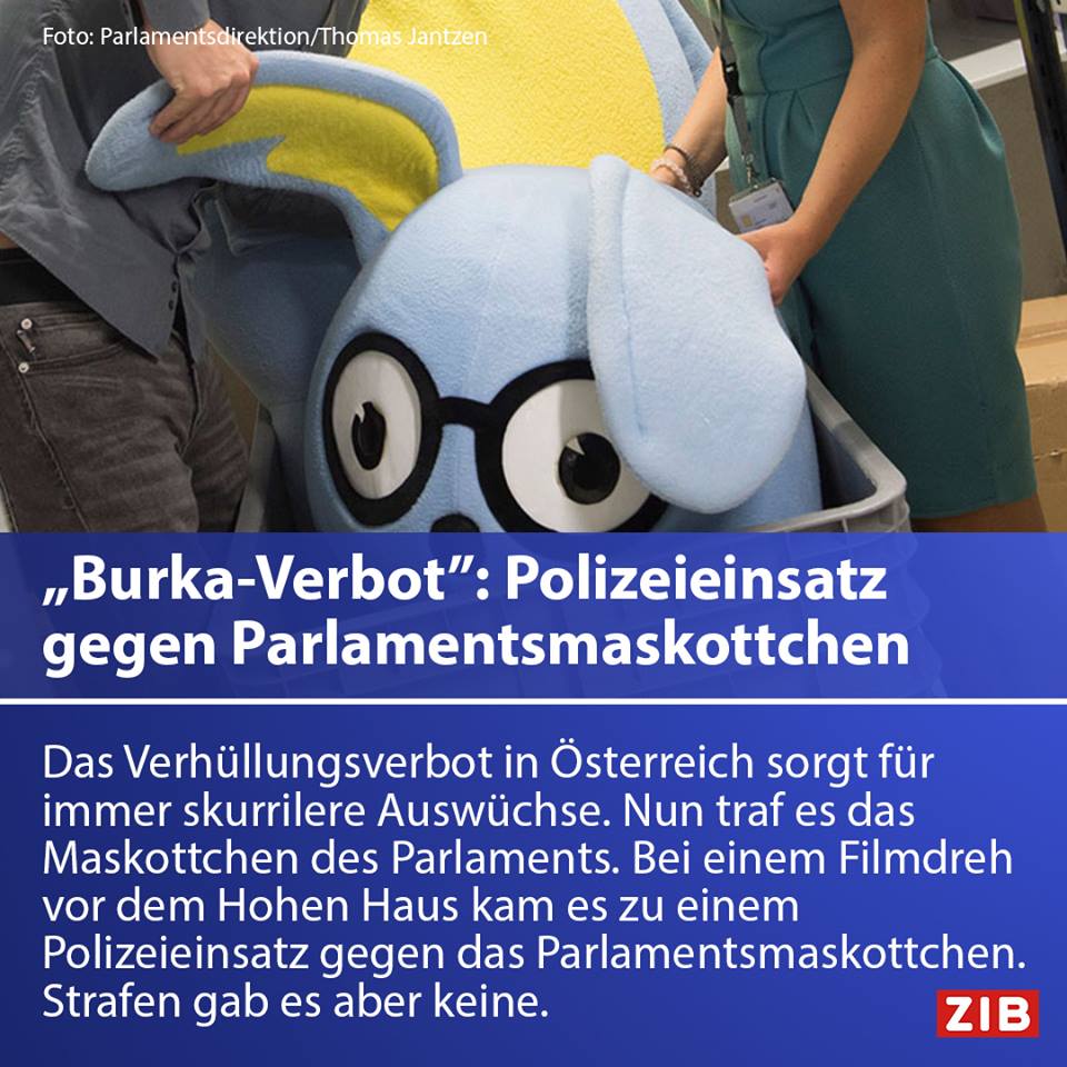 afd33.jpg