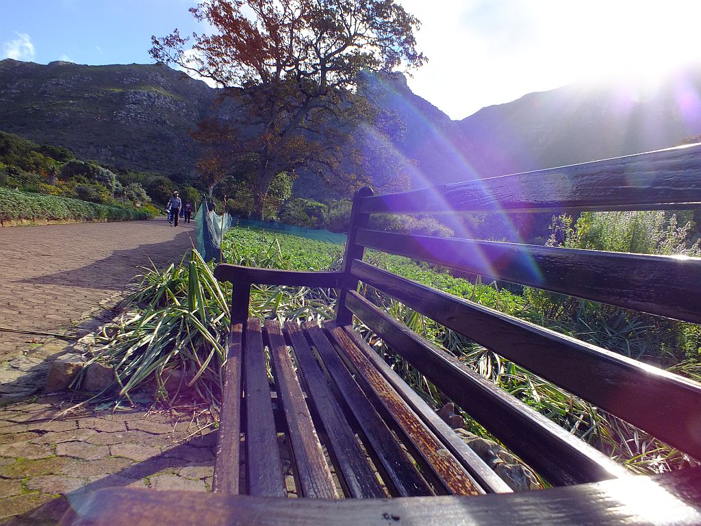 bank_kirstenbosch.jpg