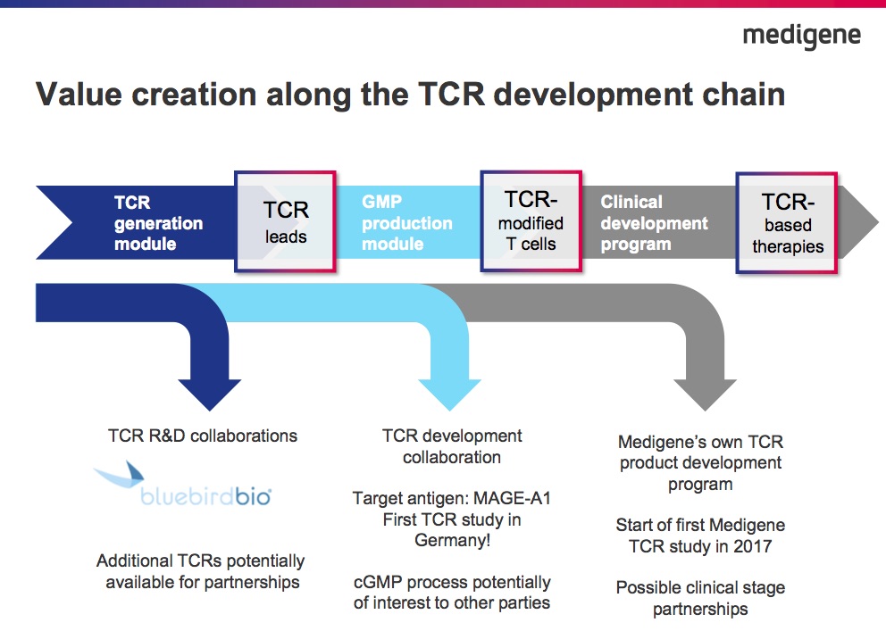 mdg-tcr-values-201708.jpg