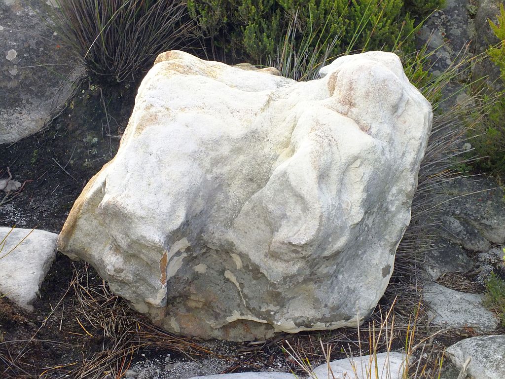 stein_auf_dem_tafelberg.jpg