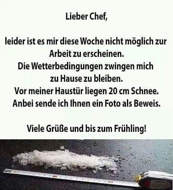 viel_schnee.jpg