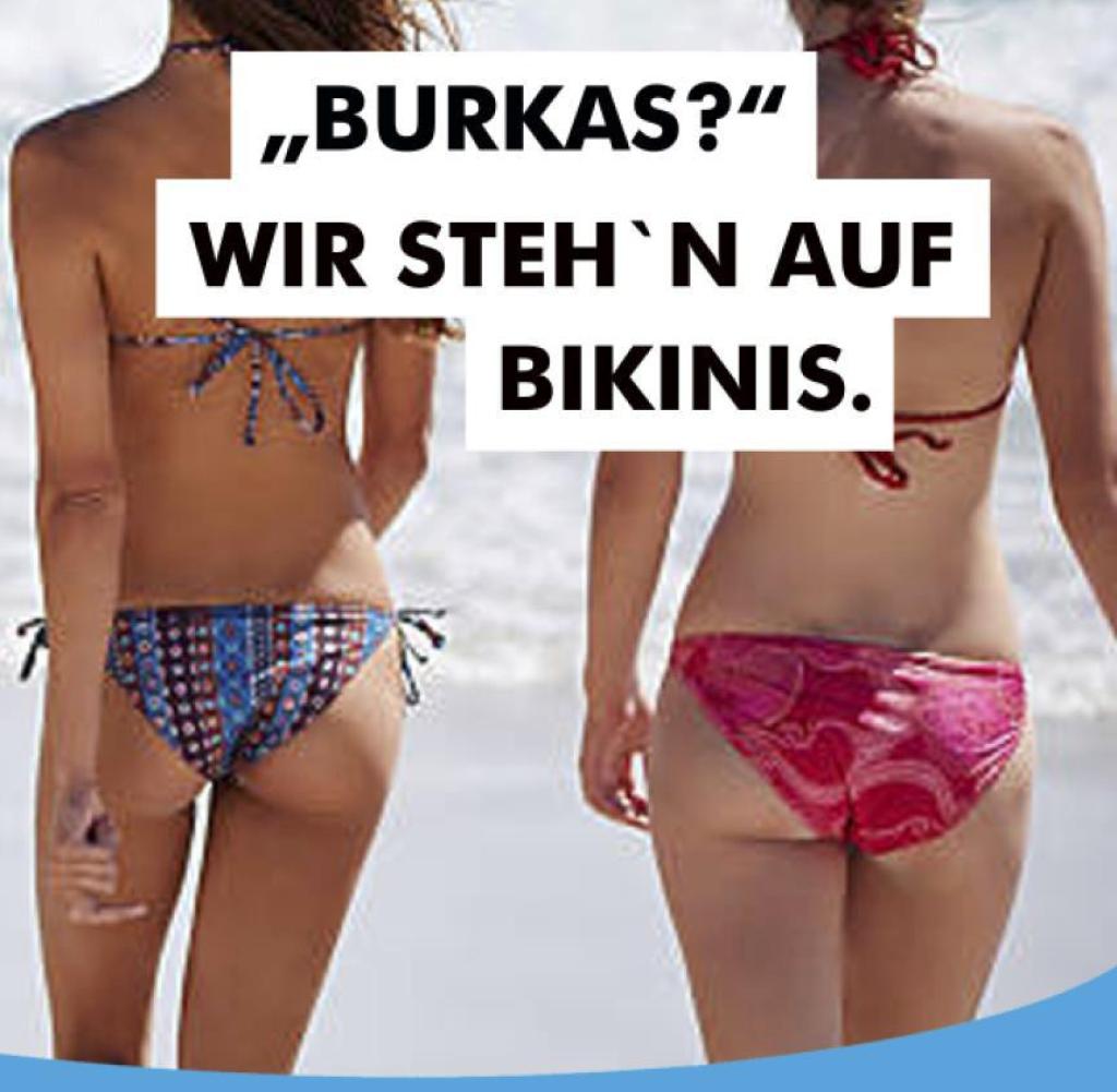 afd-plakatmotive-wahlkampf-bund-7.jpg