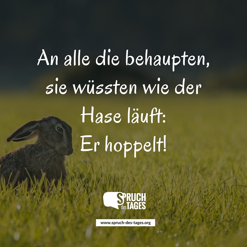 an-alle-die-behaupten-sie-wuessten-wie-der-hase-....jpg