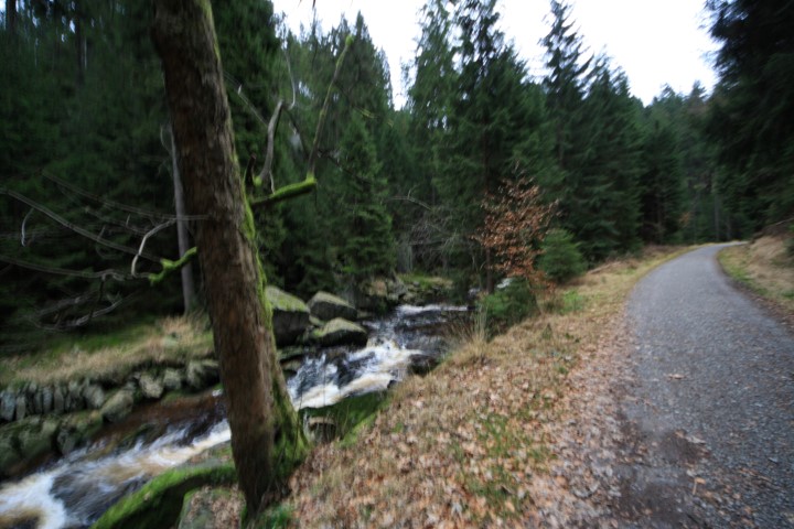 20141224_schwarzwassertal_007_(small).jpg