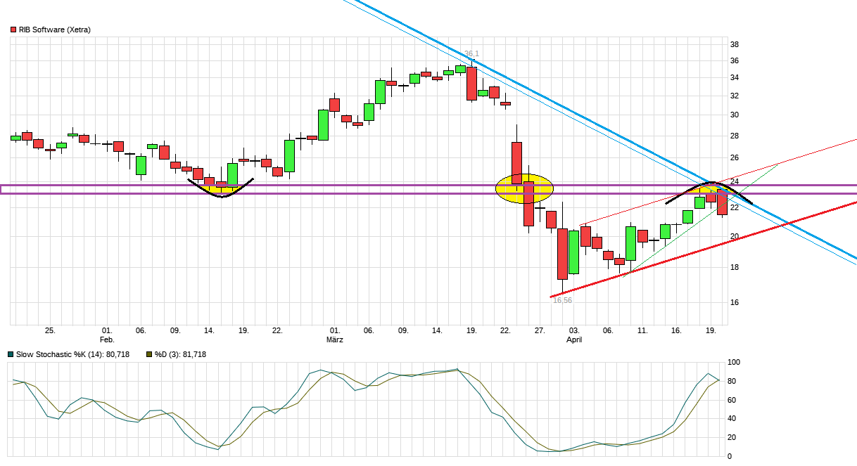 chart_quarter_ribsoftware.png