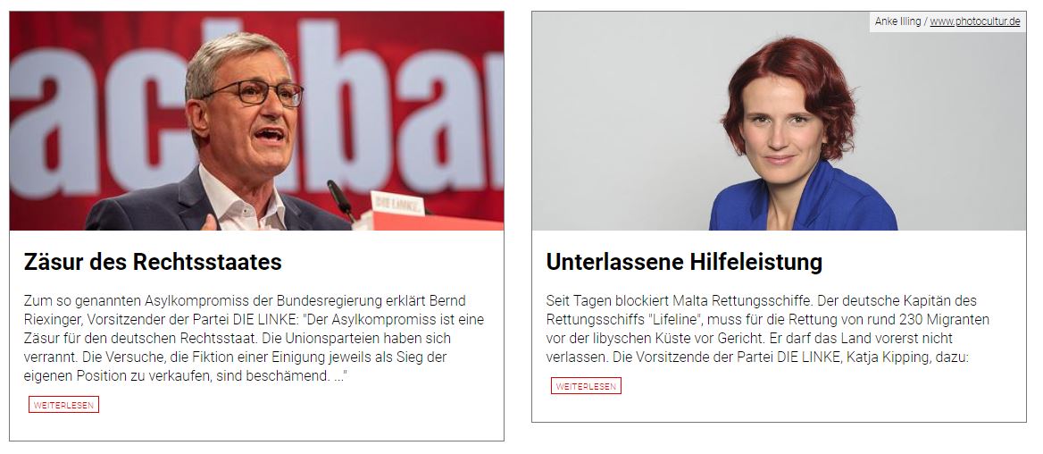 die_linke.jpg