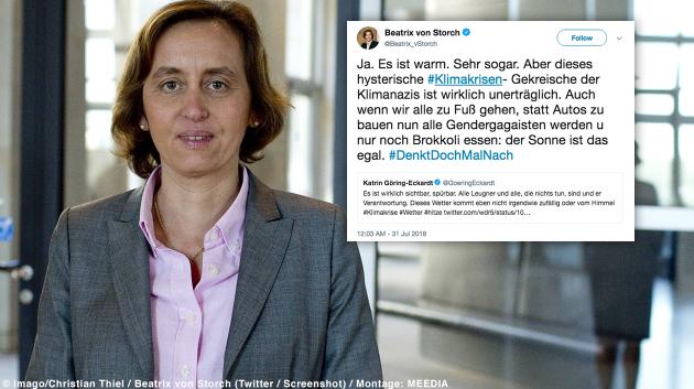 beatrix-von-storch-tweet-630x353.jpg