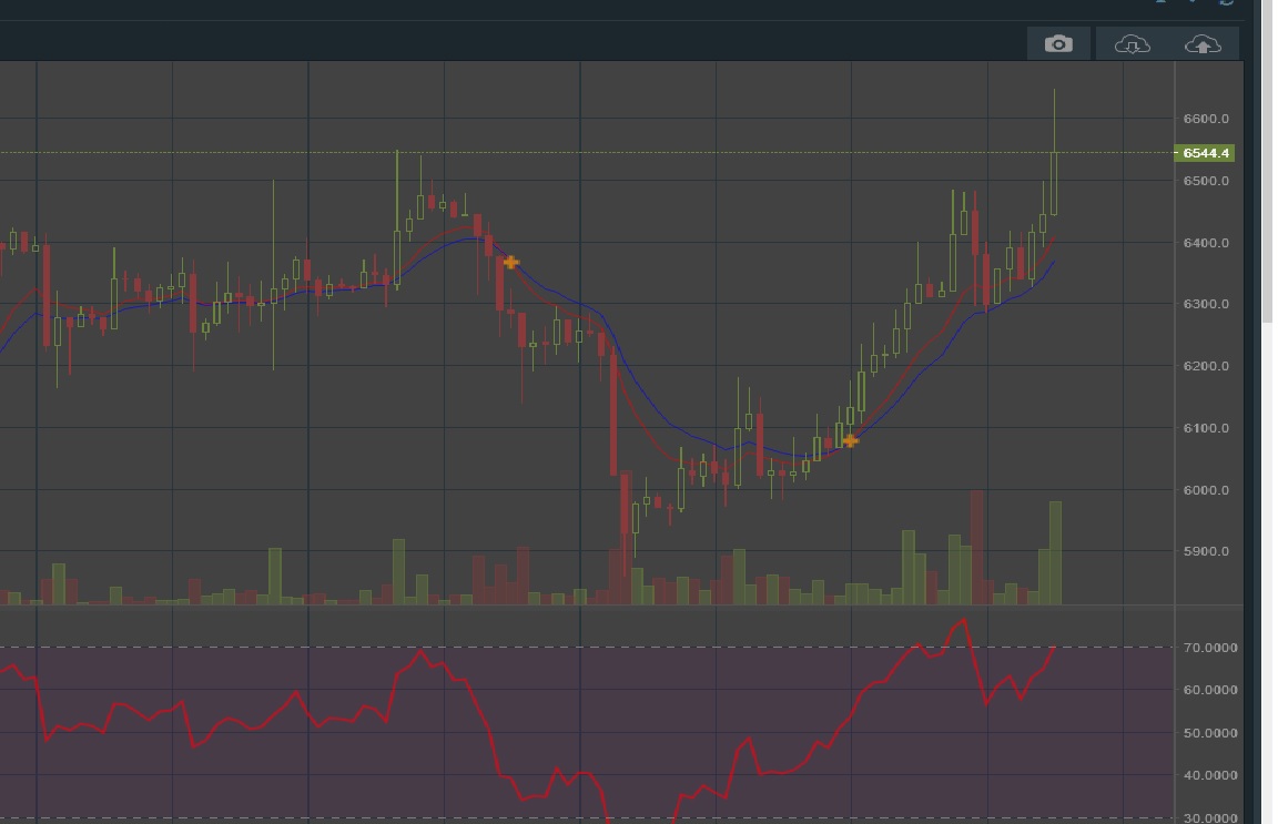 chart-7d.jpg