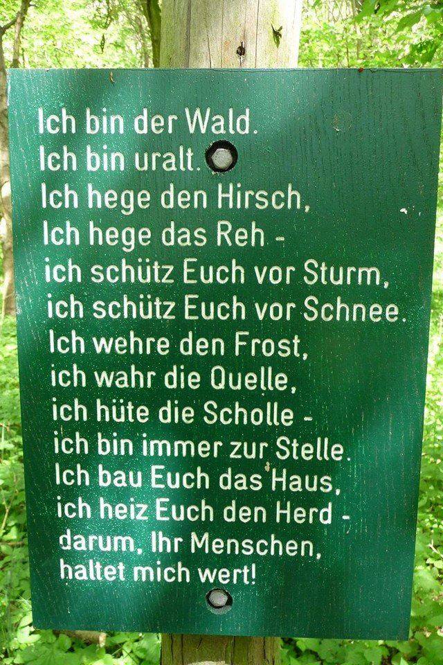 wald.jpg