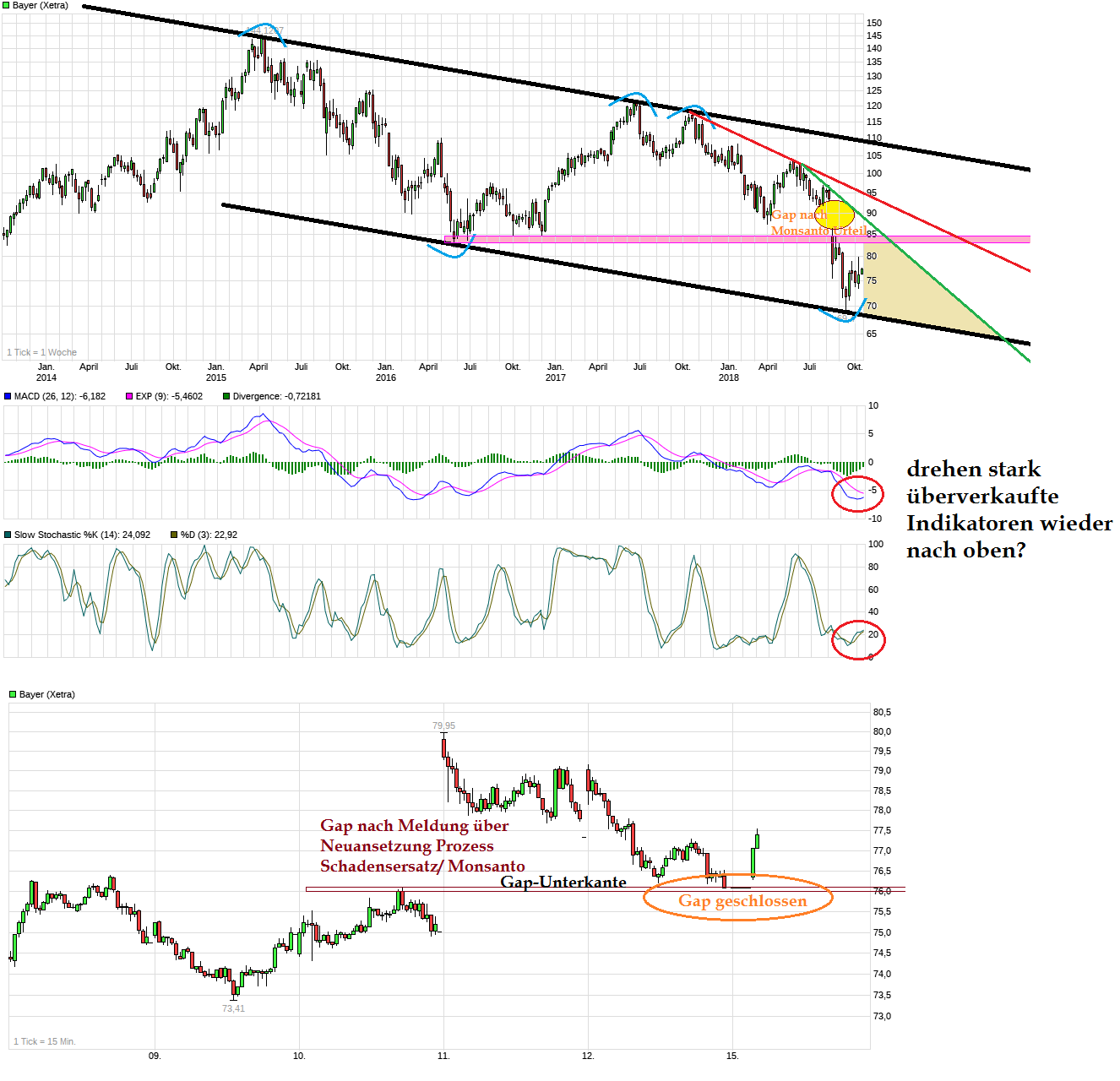 chart_5years_bayer.png