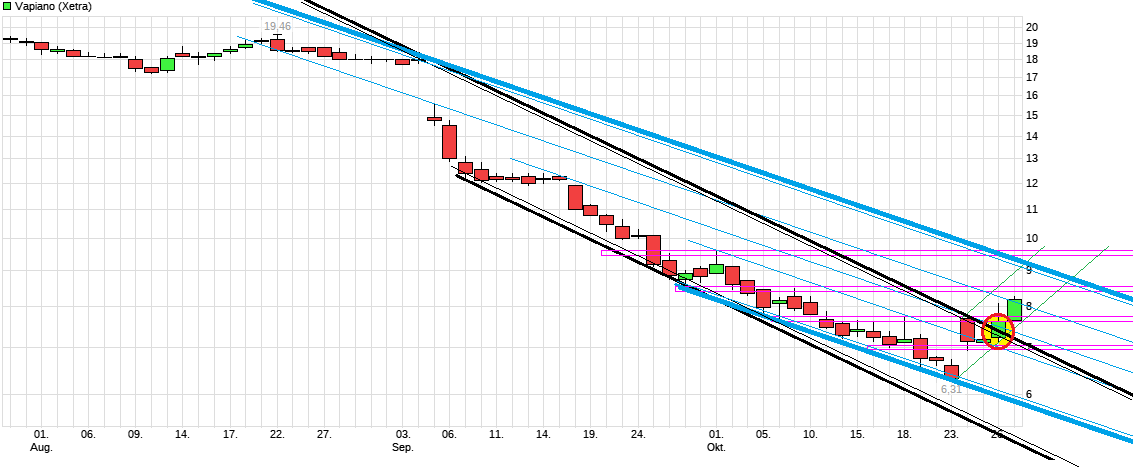 chart_quarter_vapiano.png