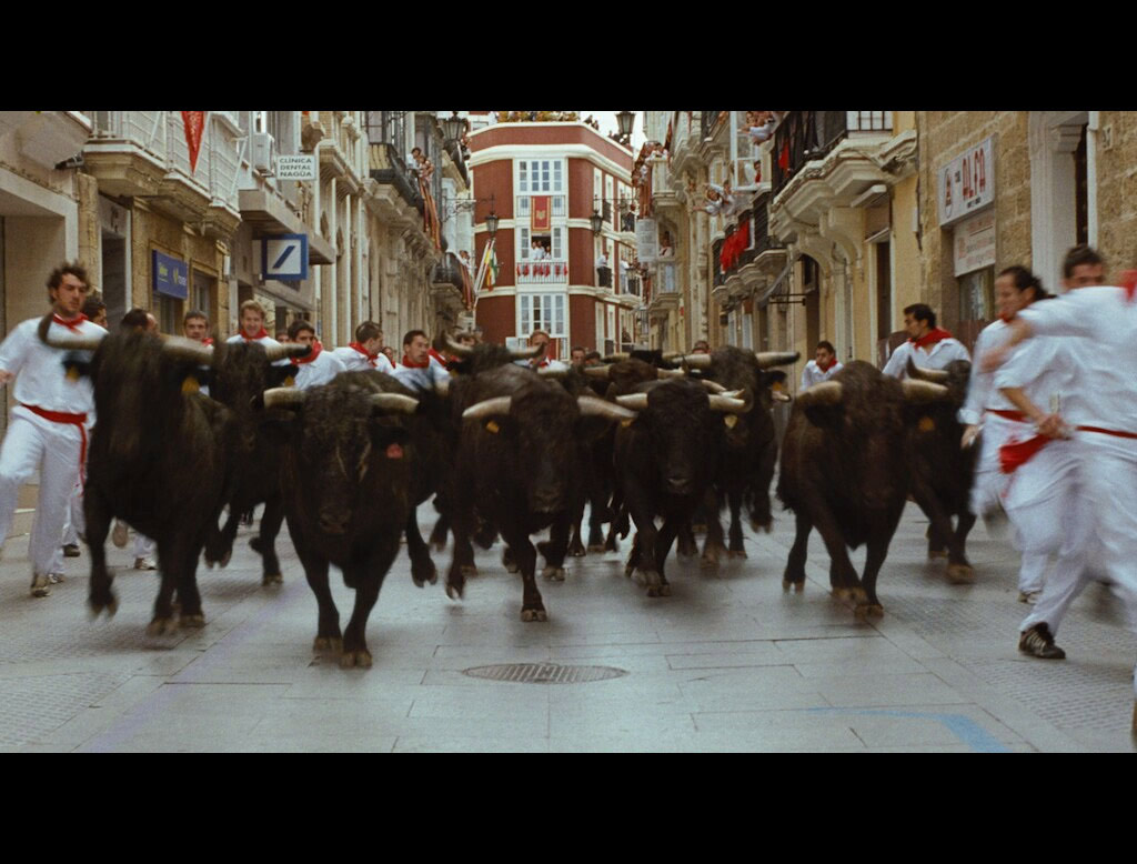 01-12_bull_stampede.jpg