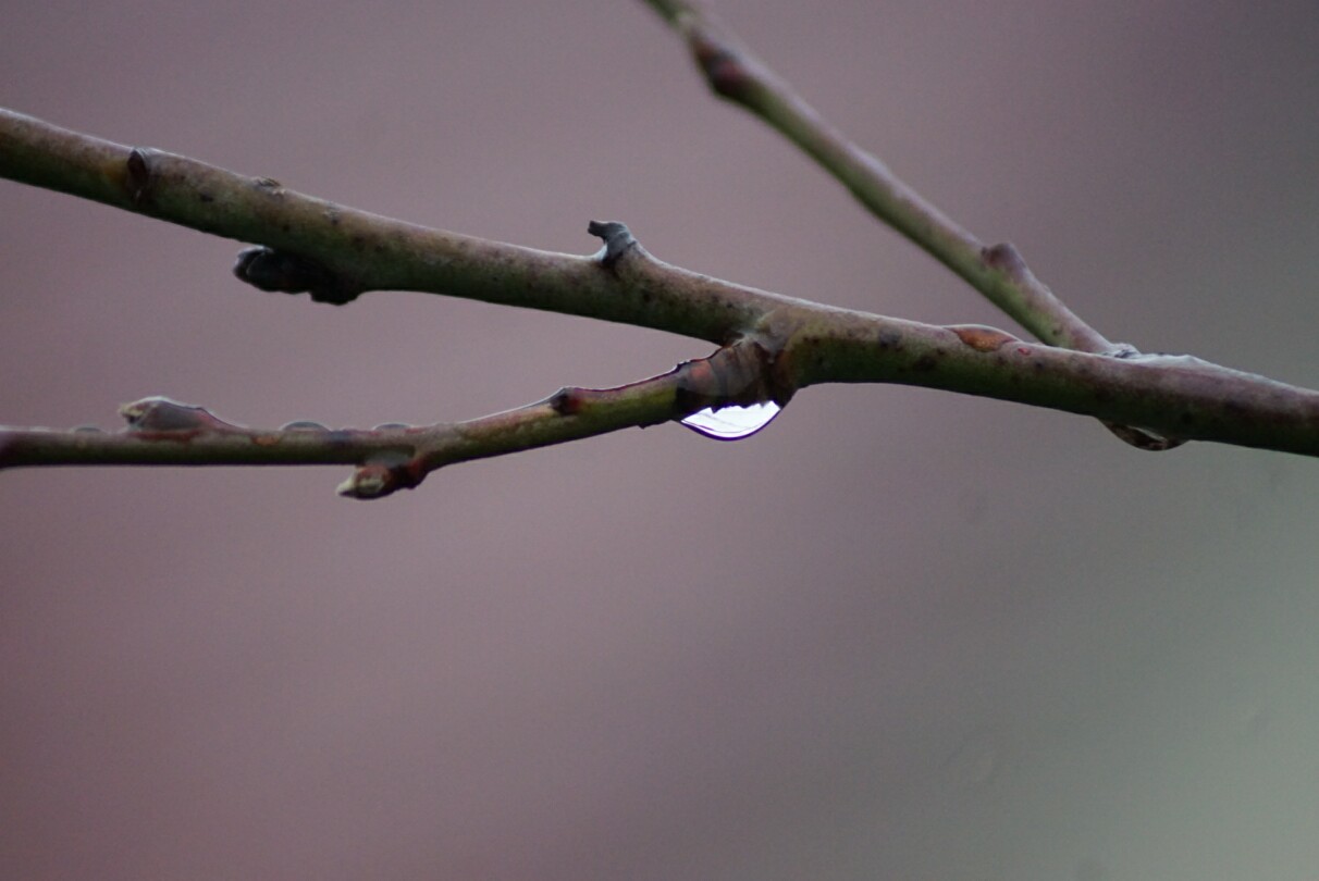 januar-regen.jpg